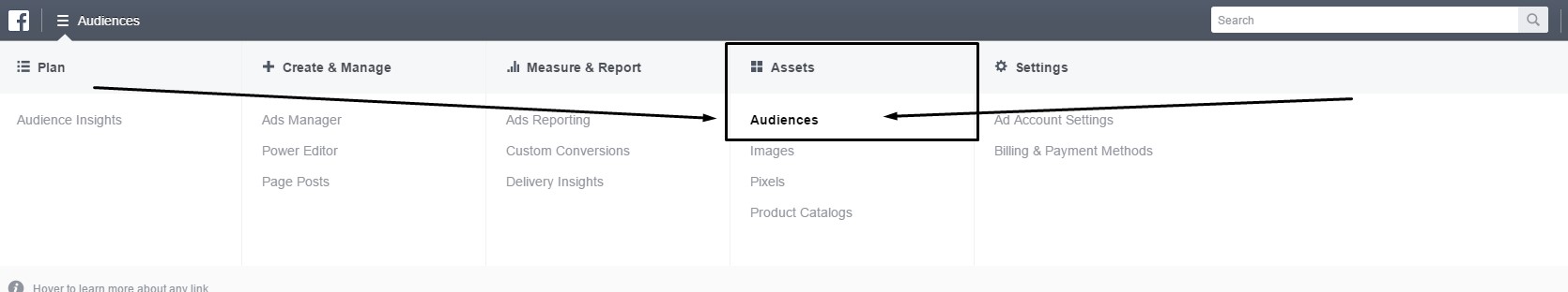 Image 1 Assets Audiences