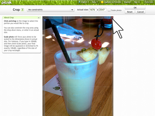 Cropping your image with Picnik